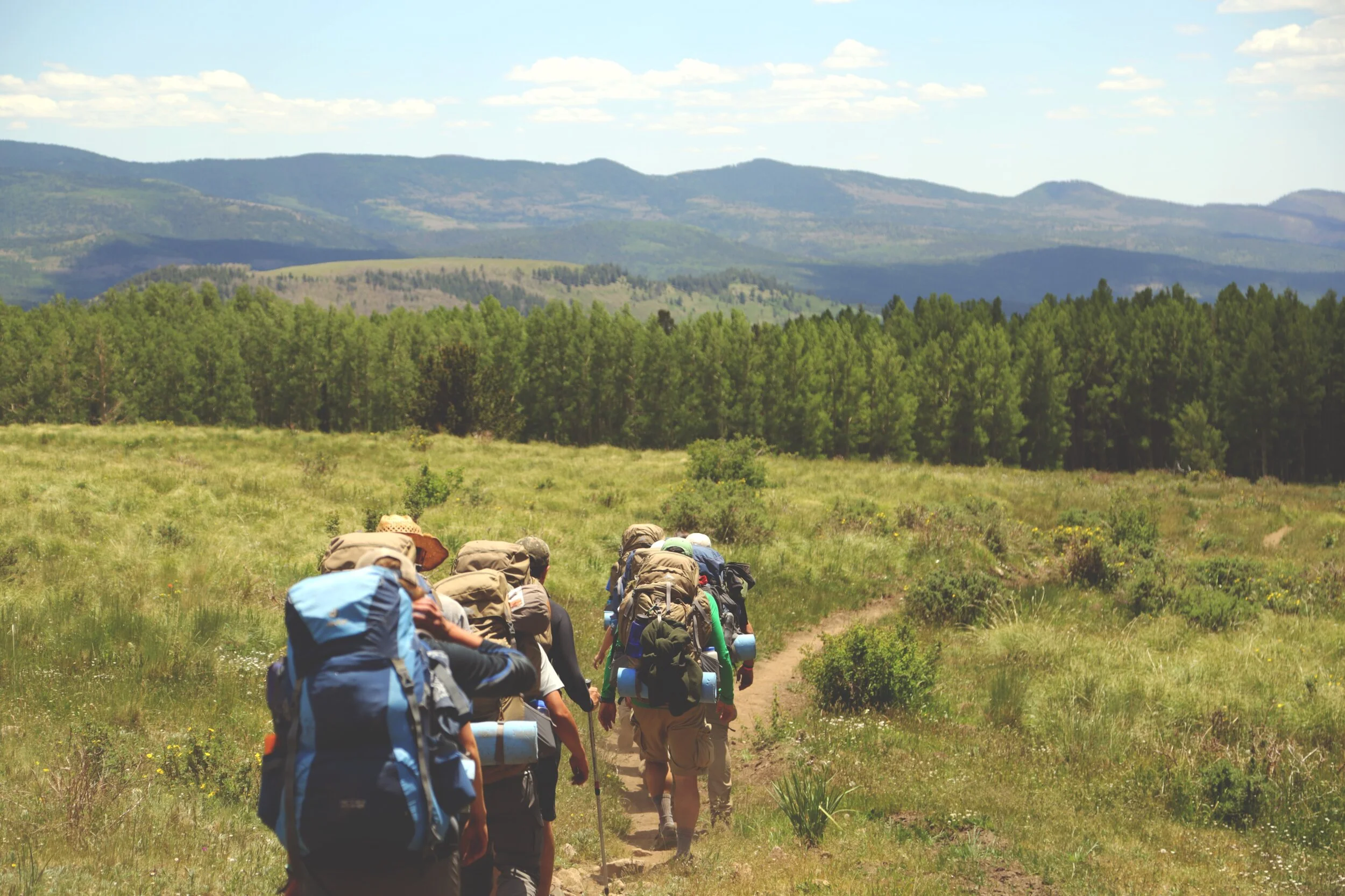 Group of backpackers hiking through a grassy trail with forest and mountains in the distance.