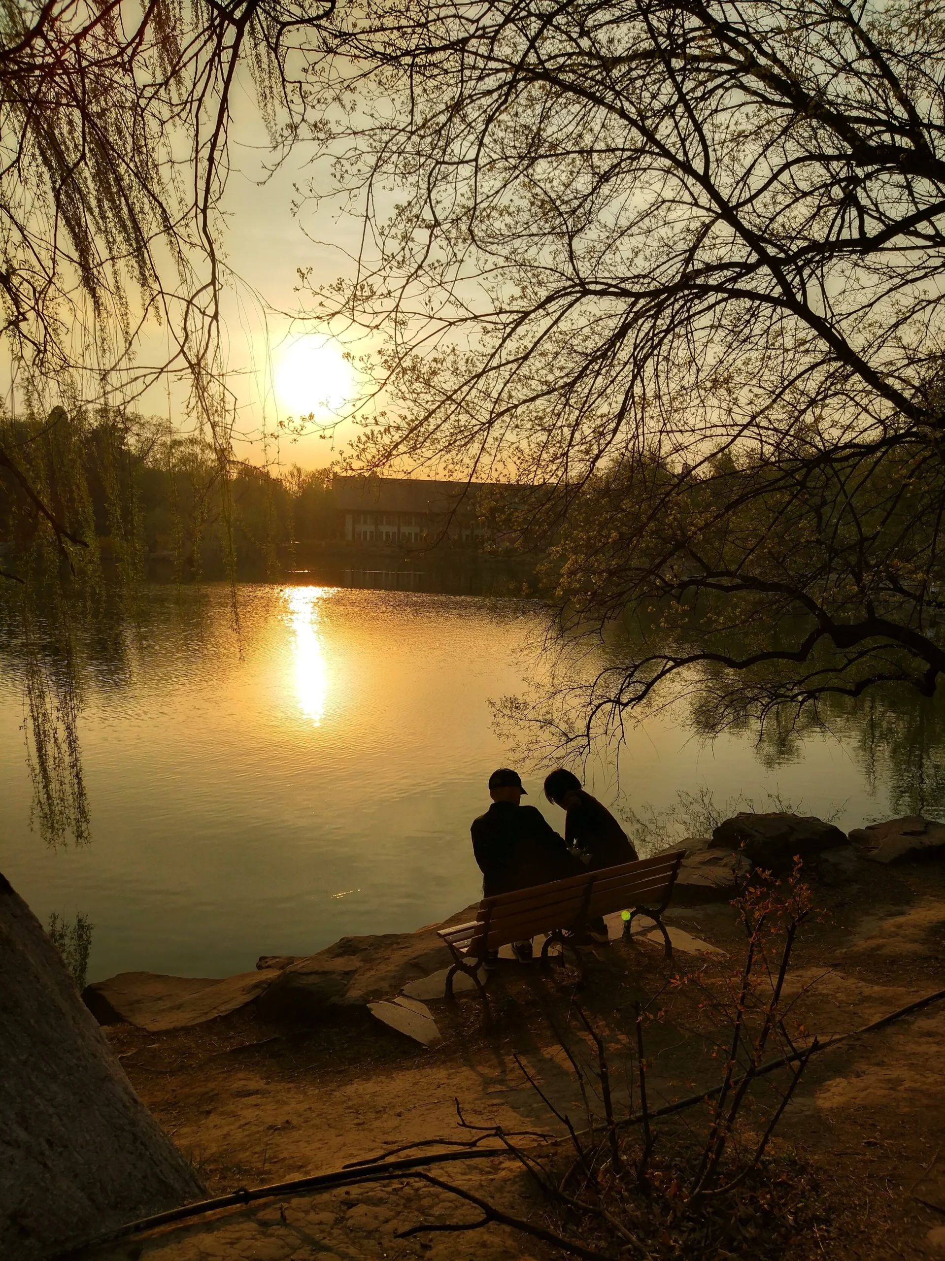 Two people sitting on a bench by a lake during sunset, with tree branches and reflections on the water.