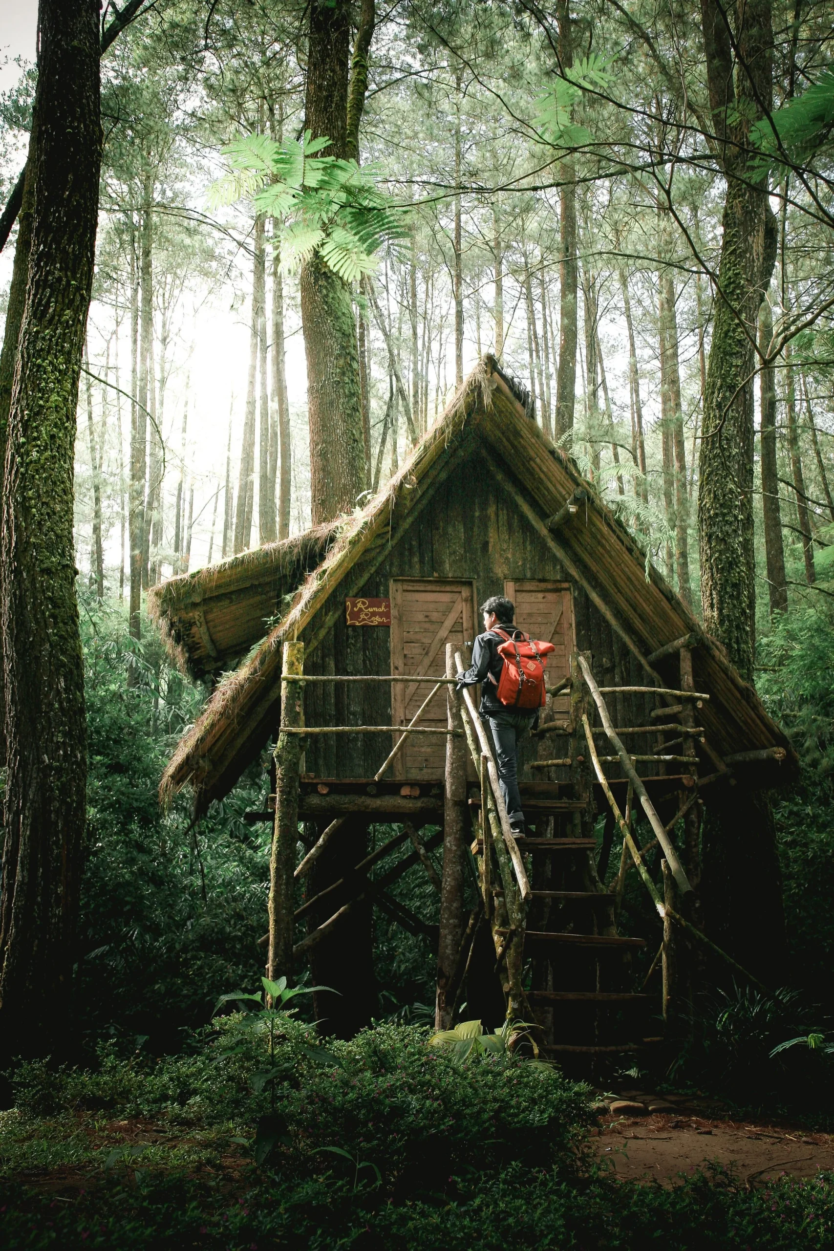 Person with a backpack standing on stairs of a wooden treehouse in a forest.