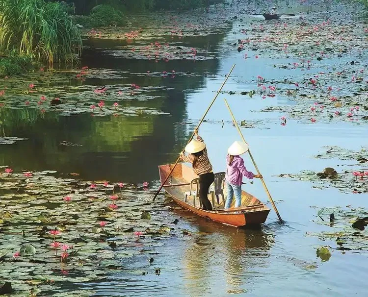 Two people in traditional hats paddling a small boat through a pond filled with lily pads and pink flowers.