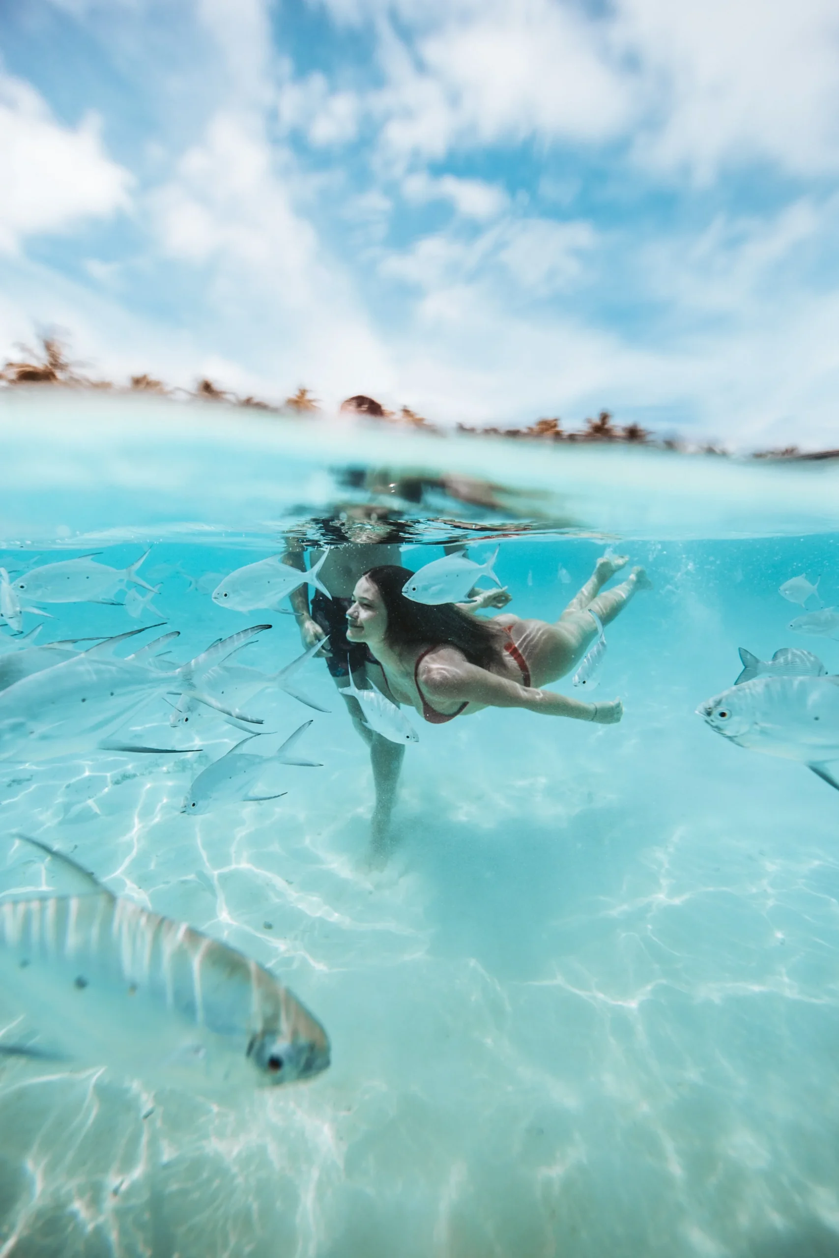 Woman swimming underwater with fish in clear ocean water.