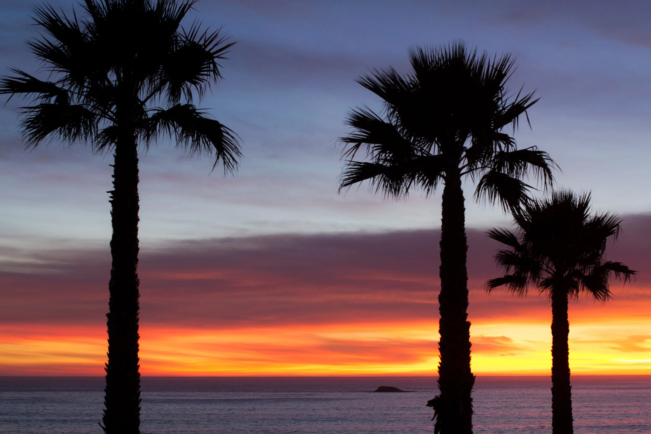 Silhouettes of palm trees against a colorful ocean sunset.